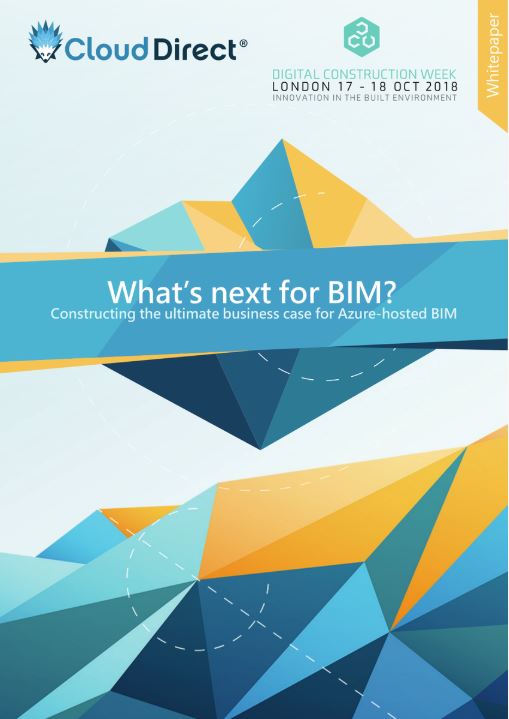 BIM whitepaper cover